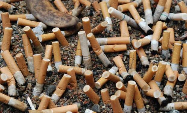Vancouver launches cigarette butt recycling project