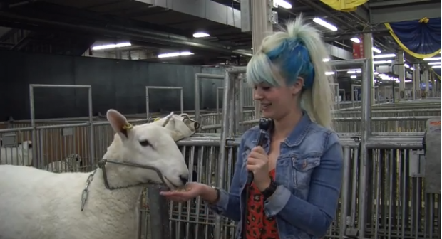 The Royal Winter Fair giving visitors something new