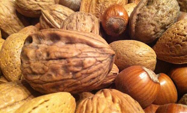 Eating nuts reduces death