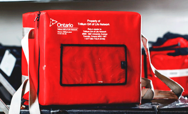 Record number of tissue donors in Ontario last year