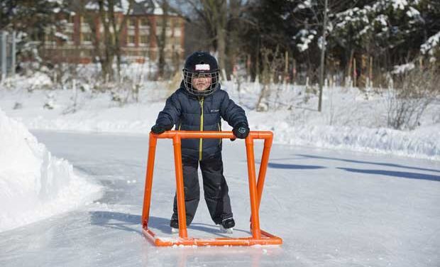 Where to celebrate Family Day 2014 in the GTA