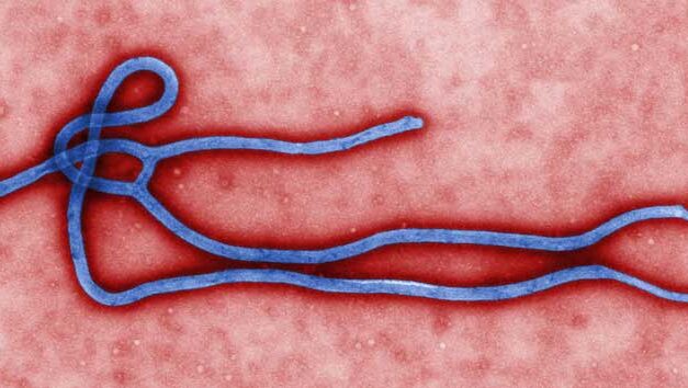 Ebola causes lockdown in Sierra Leone