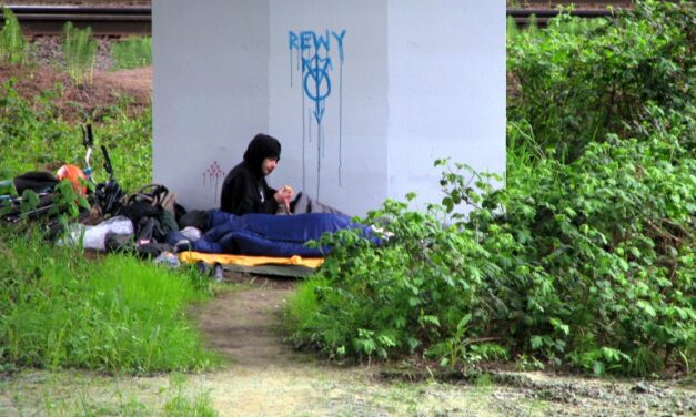 Quarter of homeless youths end up back on street