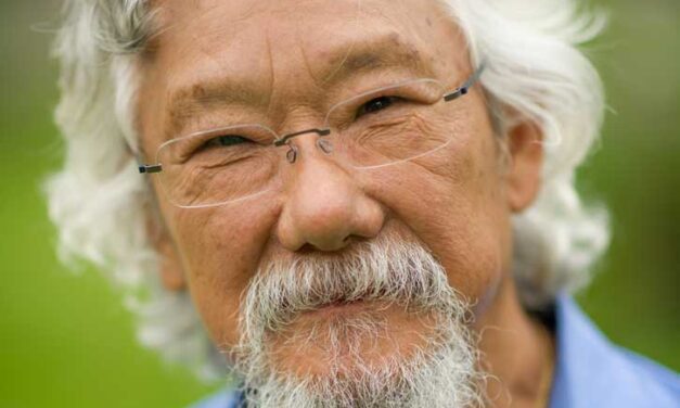 Experts divided on failure of environmentalism after Suzuki comments