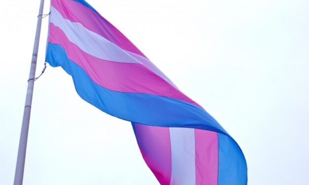 Transgender Day flag raised in Toronto despite protests
