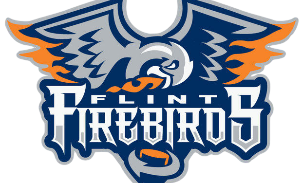 Flint Firebirds Fiasco