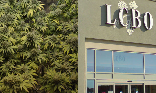 LCBO could be prime location for marijuana sales