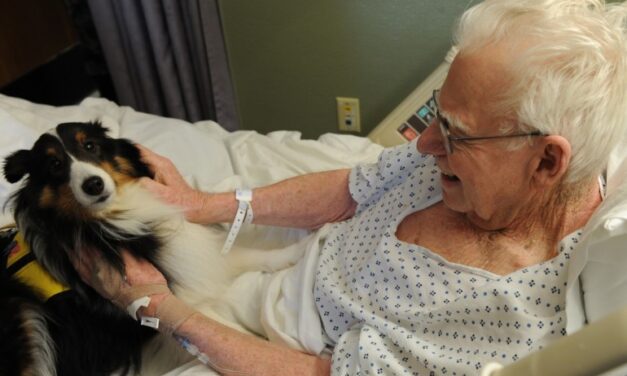 Furry family members allowed during visiting hours at Hamilton hospital
