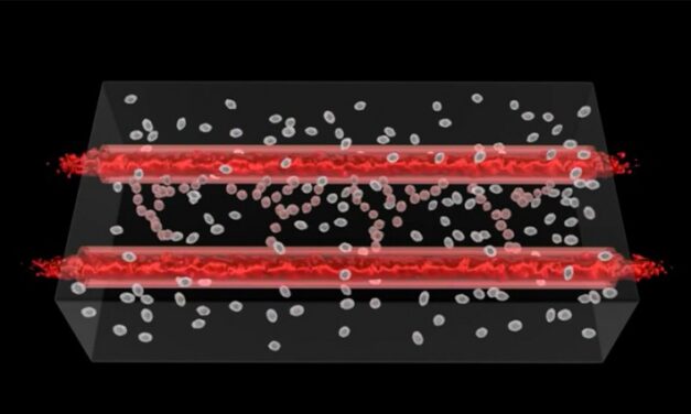 3D-printing living blood vessels now a reality