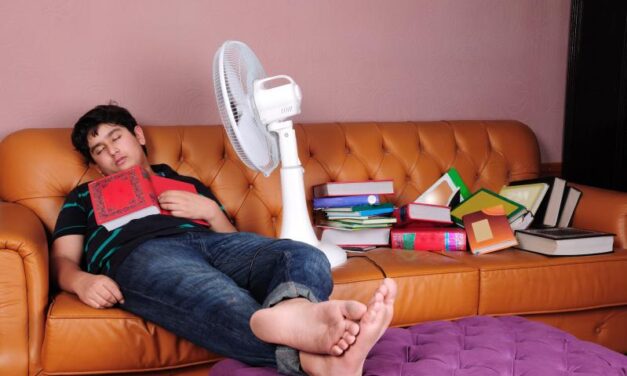 Napping important for optimal energy, new book says