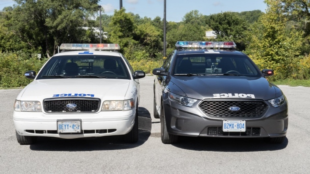 City councillor wants review of new police car colours