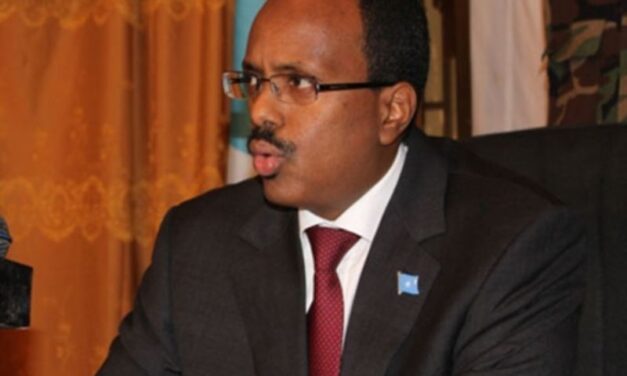 Former Somali prime minister elected as new president