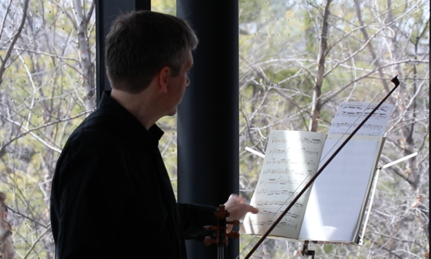 Captivating solo violin performance held in the arboretum