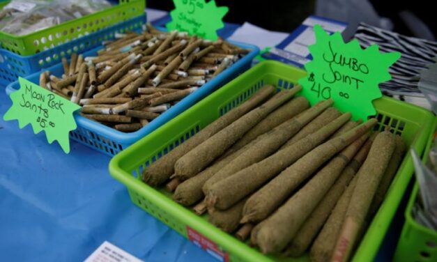 Medical marijuana finds market in Canada’s economy among legalization delays