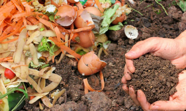 Ontario’s new organic waste plan will tackle composting in multi-residential buildings
