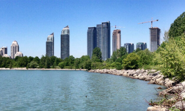 Potentially toxic blue-green algae found in Humber Bay
