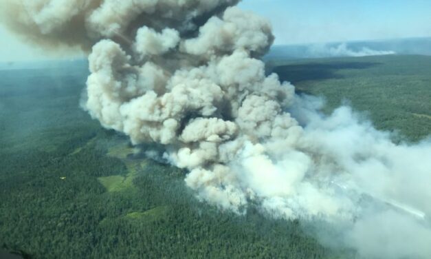 Firefighters battle dozens of forest fires in northern Ontario