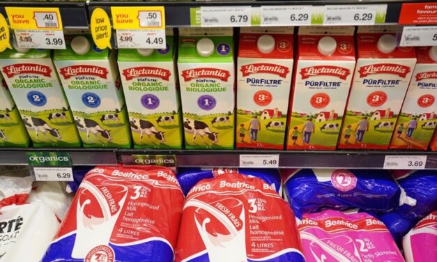 Updated Canada Food Guide turns away from dairy