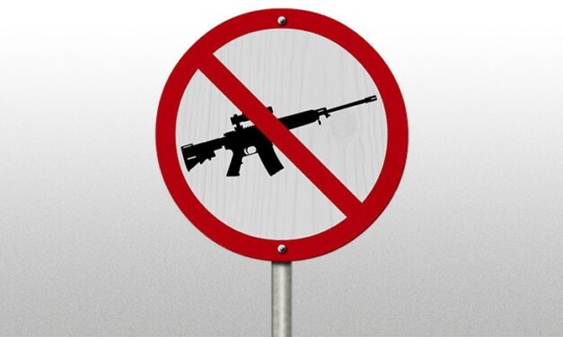 Liberals’ assault weapons ban not focused on public safety, opposing sides say