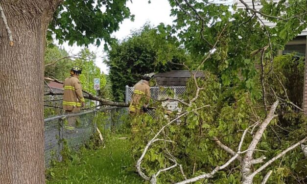 Surprise Ottawa tornado leaves questions in aftermath