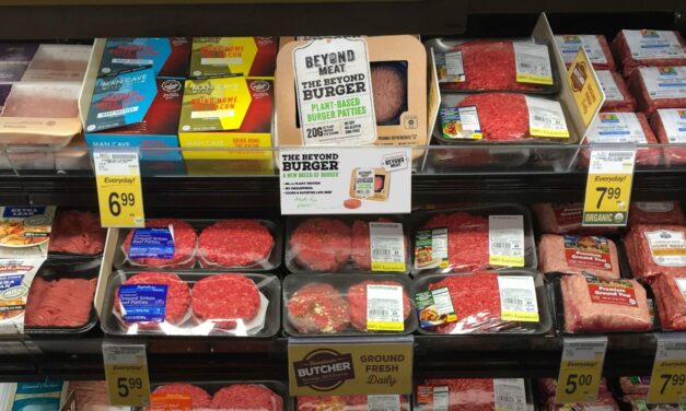 Beyond Meat still losing money, despite market gains