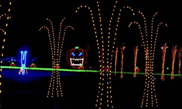 Socially distant Halloween Nights of Lights donates to Epilepsy Toronto