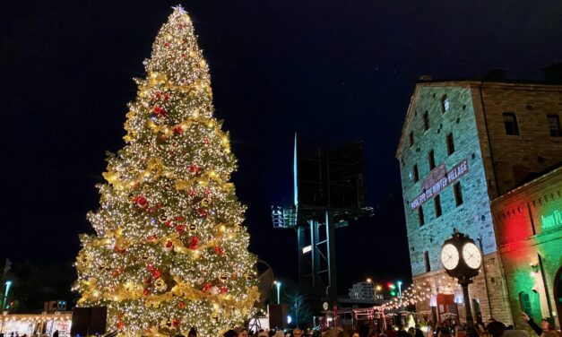 Giant Christmas tree lighting launches holiday season at Distillery Winter Village