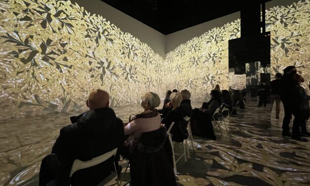 Immersive art exhibitions provides new way of experiencing art