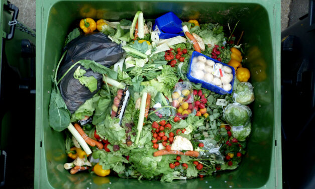 Greenhouse gas emissions rising
as home food waste fills city’s green bins