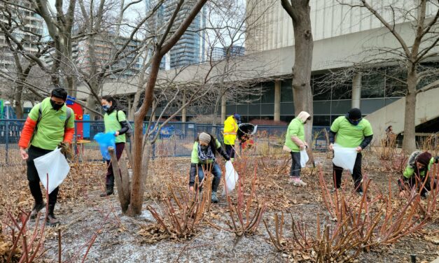 Toronto’s annual spring cleanup returns after a 2-year pause due to COVID-19