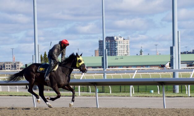 Woodbine Racetrack blends love of horses with the fun of competition