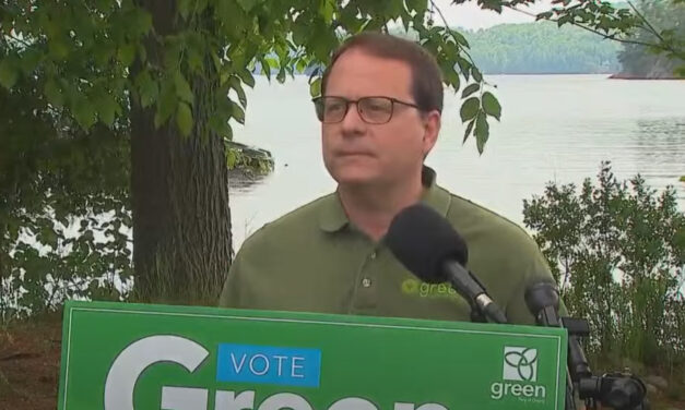 Green Party promises support for small business if elected
