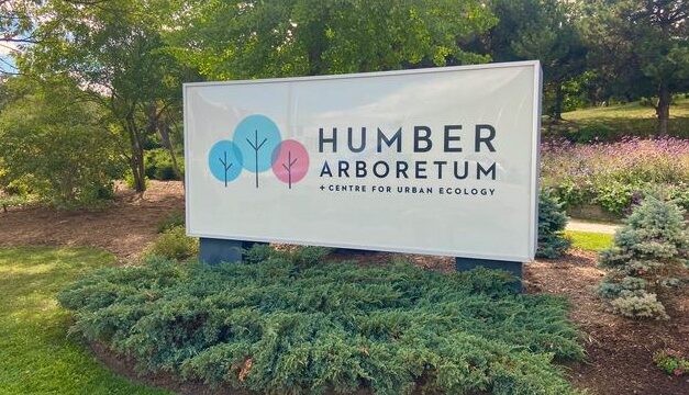 OPINION: Permit problems at Humber changed my mind about journalism