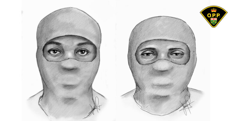 OPP sketch for Hajtamiri's kidnappers released Thurs. during press conference in Mississauga.