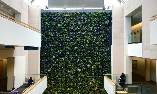 Guelph Humber brings back its plant wall