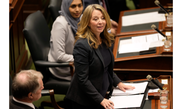 Stiles goes on the offensive against Ford over healthcare during Question Period