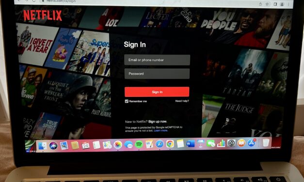 Netflix offically bans password-sharing among different households