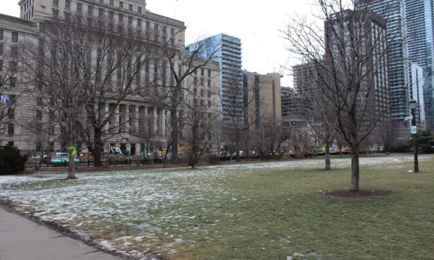 Last-ditch meeting held to look at options to save Osgoode Hall trees