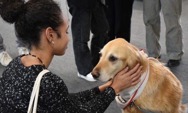 Humber students pet their stress away with therapy dog visits