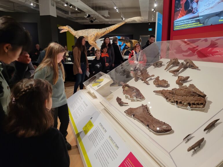 At ROM's Spotlight, visitors have the chance to learn about the fieldwork done by paleontologists at the museum.