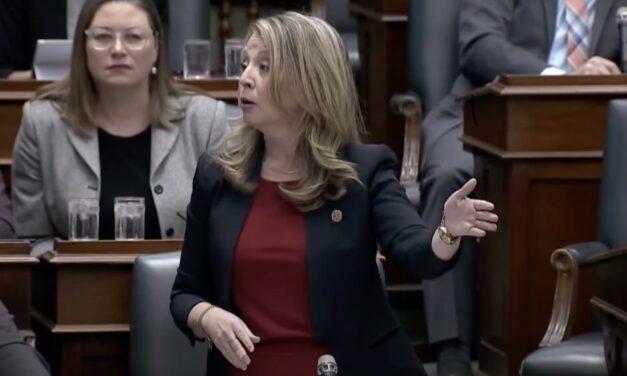 Marit Stiles addresses mental health concerns in Queen’s Park Question Period