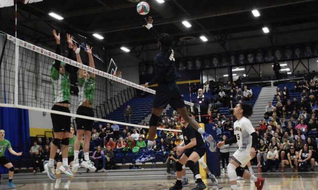 Humber men’s volleyball seeking national gold after semi-final victory