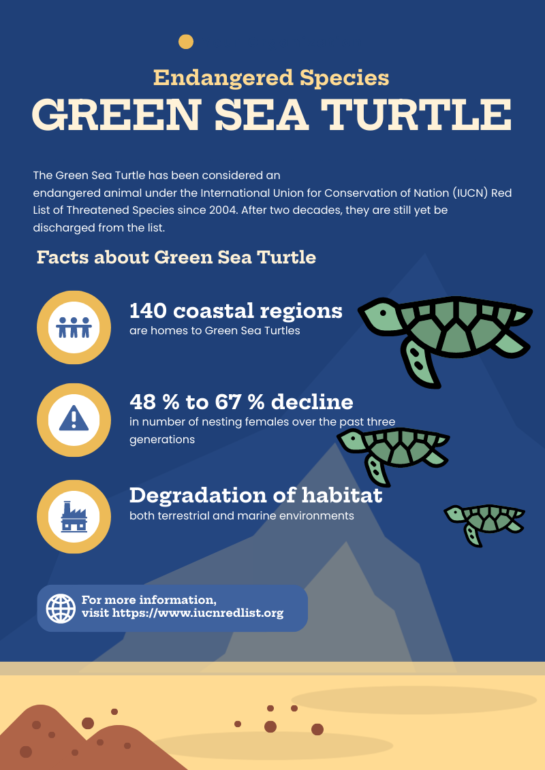 Infographic on green sea turtle