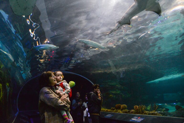 Denise Gray (left) brought her grandchild Avery Gray (right) to the Aquarium to educate her on marine animals.