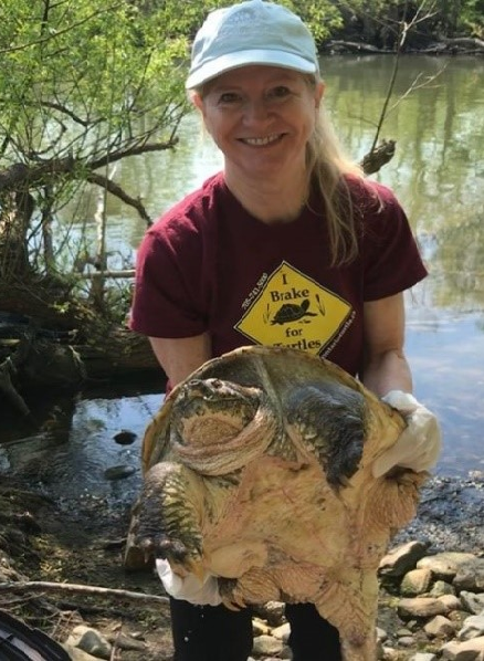 Dr. Sue Carstairs is a member of the Tortoise and Freshwater Turtle Specialty Group and has received the J.R. Dymond Public Service Award, the Environmental Excellence Stewardship Award, the Silver Salamander award in recognition of her commitment to the conservation of Ontario’s turtle.