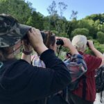 Bird enthusiasts enjoy fun walks, exploration with Toronto feminist club