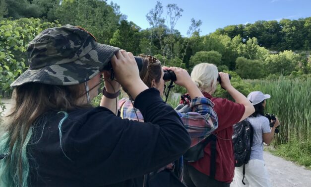 Bird enthusiasts enjoy fun walks, exploration with Toronto feminist club