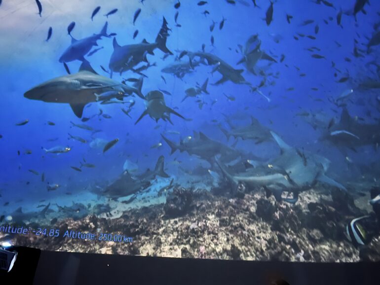 Footage inside the sea dome of sharks in the ocean