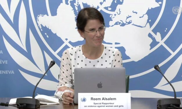 UN hosts a special rapporteur on violence against women, girls