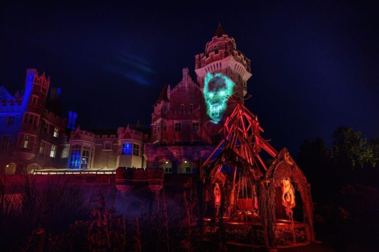 A red castle with a blue fiery skull during night time.